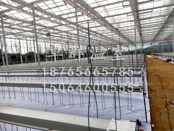 山東棗莊無土栽培